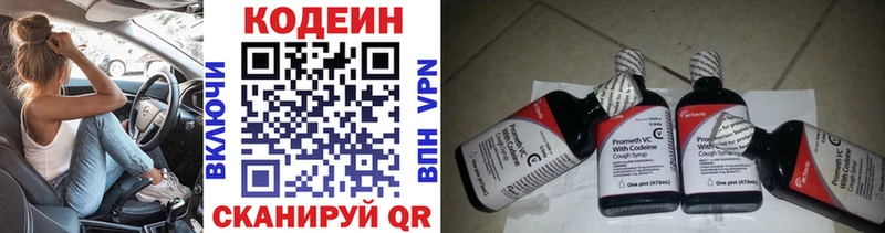 Купить закладки  Каргополь  Кодеиновый сироп Lean Purple Drank 