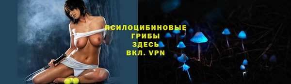 метадон Гусь-Хрустальный