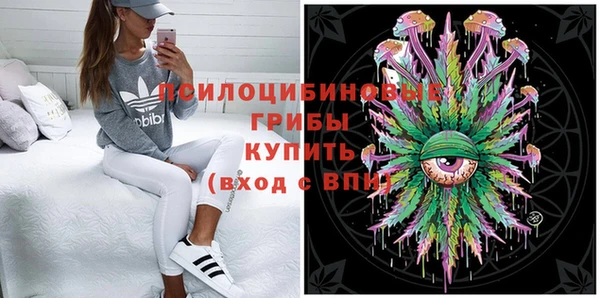 соль курить ск Дмитровск