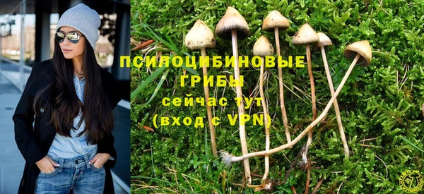 метадон Гусь-Хрустальный