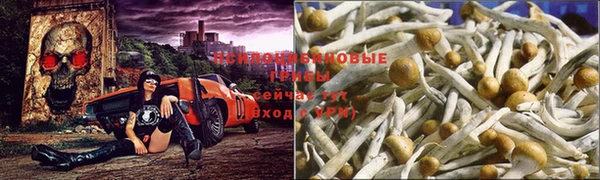 2c-b Гусев