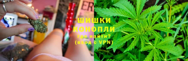 твердый Дмитриев