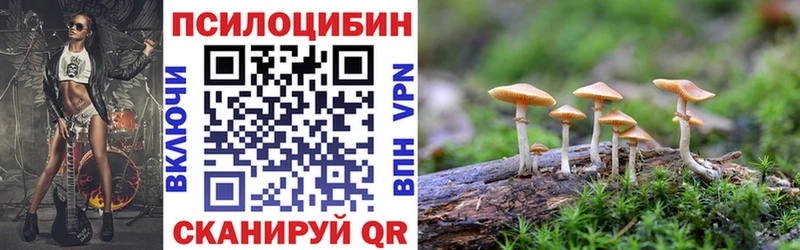 Псилоцибиновые грибы Magic Shrooms  Купить  Каргополь 