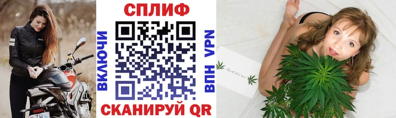 Бошки Шишки White Widow  Купить где  Каргополь 
